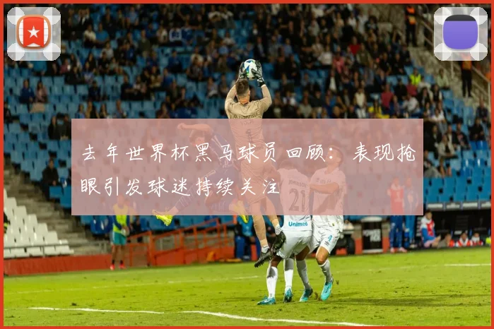 去年世界杯黑马球员回顾:表现抢眼引发球迷持续关注