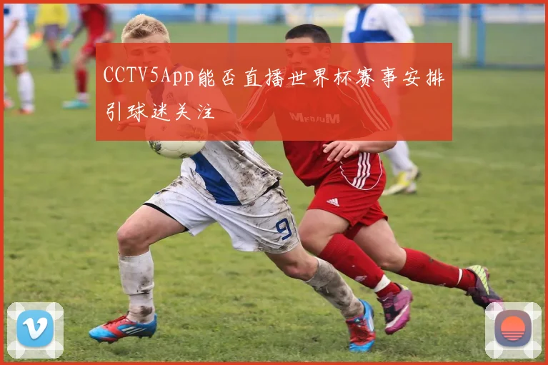 CCTV5App能否直播世界杯赛事安排引球迷关注