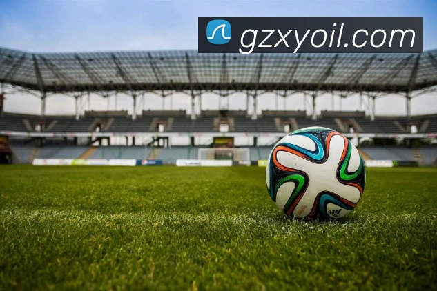 世界杯平台官网登录服务体系